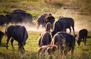 north dakota-Bearbeitet-Bearbeitet